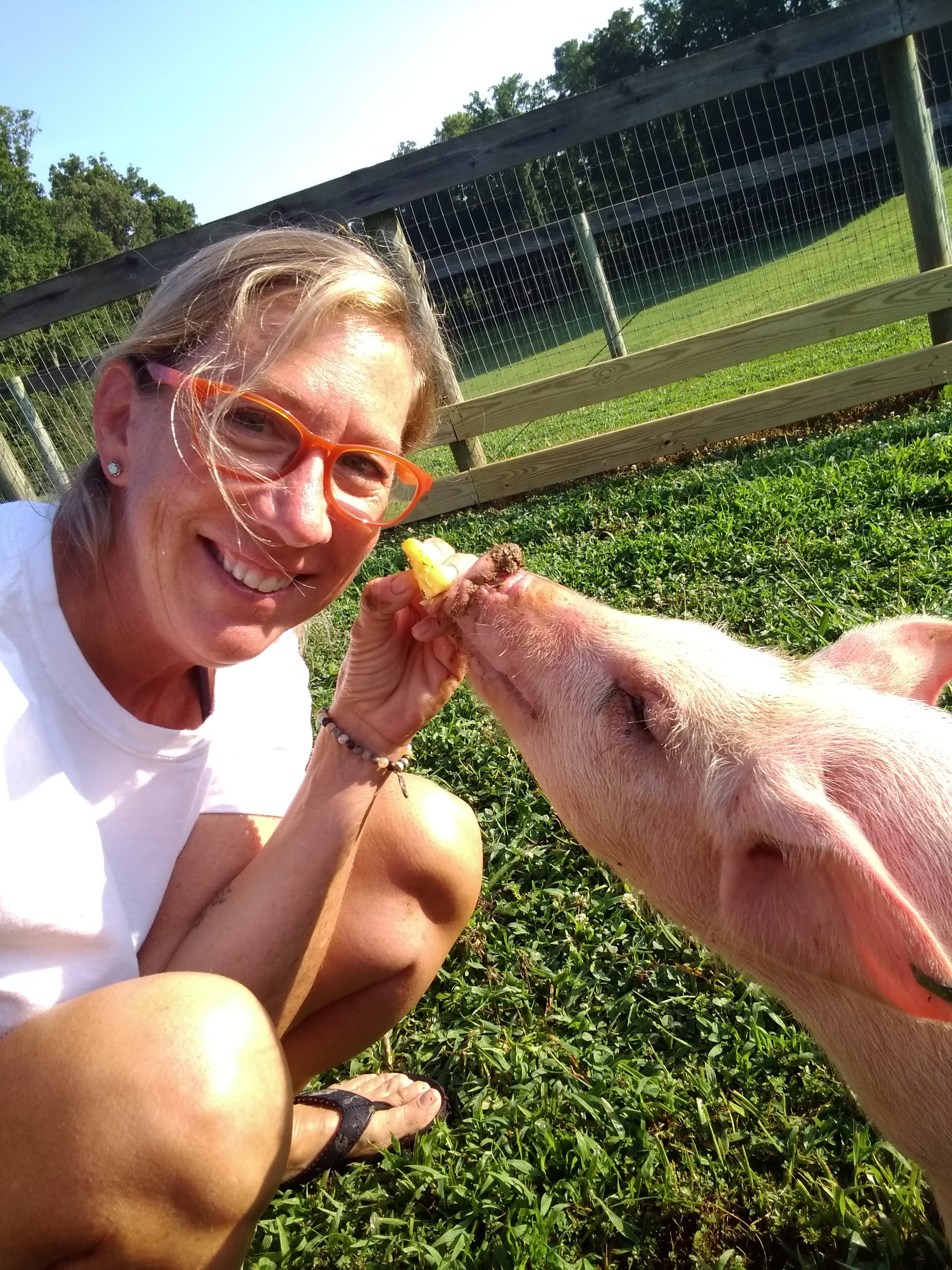 cheryl-pig-farm